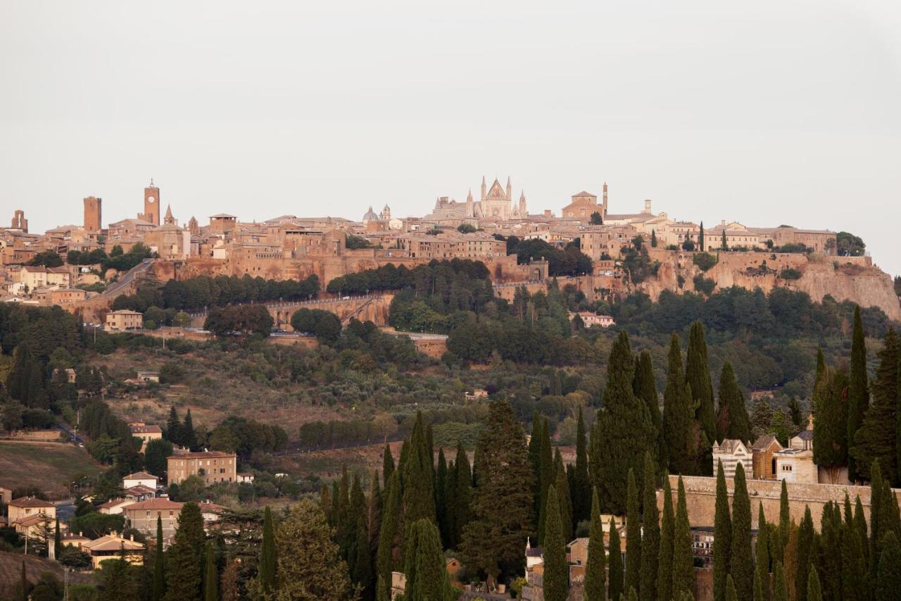 Domus Festina Lente Orvieto Exterior foto