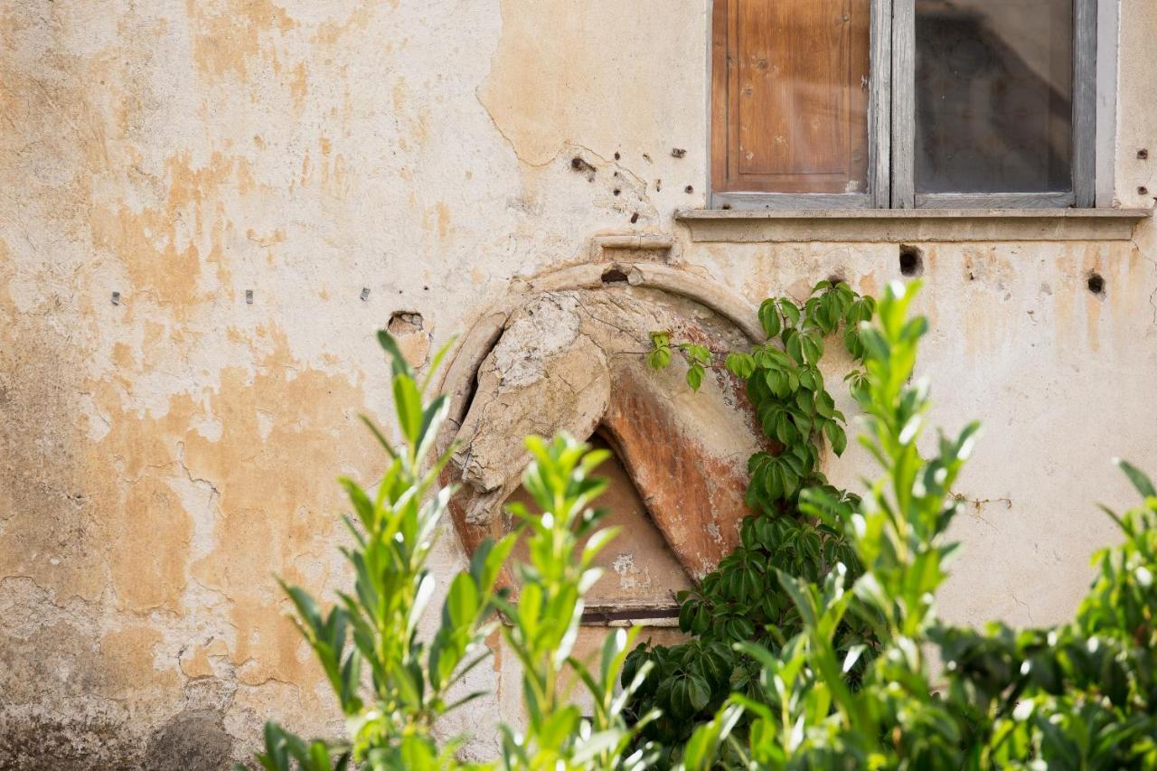 Domus Festina Lente Orvieto Exterior foto